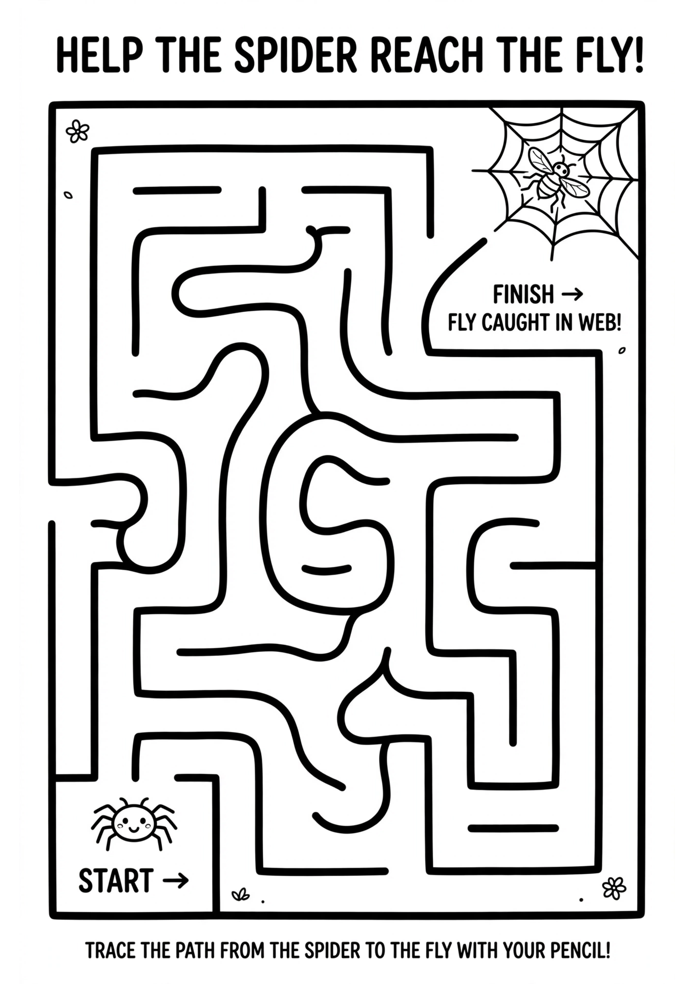 Spider Web medium maze
